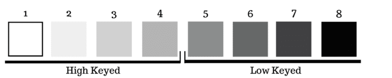 Complete Guide To The Importance Of Tonal Values In Art
