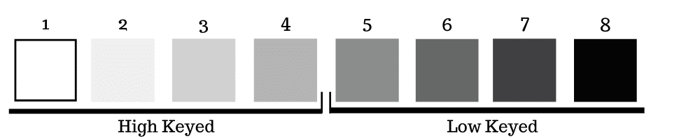 tonal values scale
