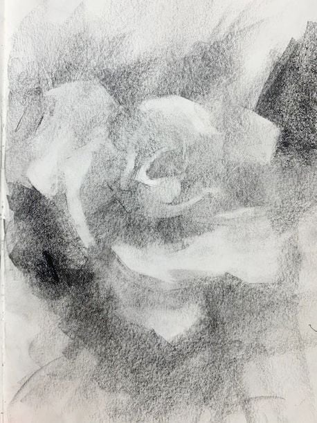 Elisabeth Larson Koehler, Drawing of a Rose, value and shading simplified