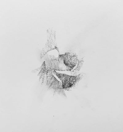 Drawing shapes of a rose in process