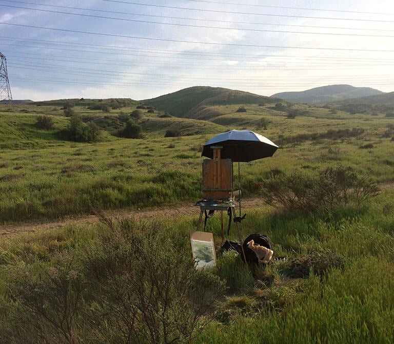 Painting easel amongst a field with rolling hills in the background