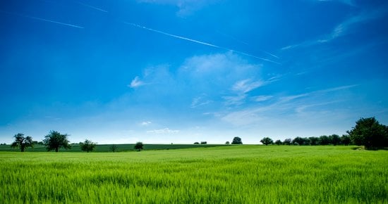 Green field with expansive blue skies