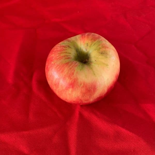 color harmony relationships between red apple and red background