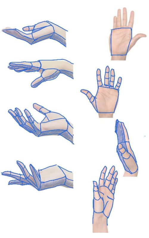 How to draw hands diagram showing hands in different positions