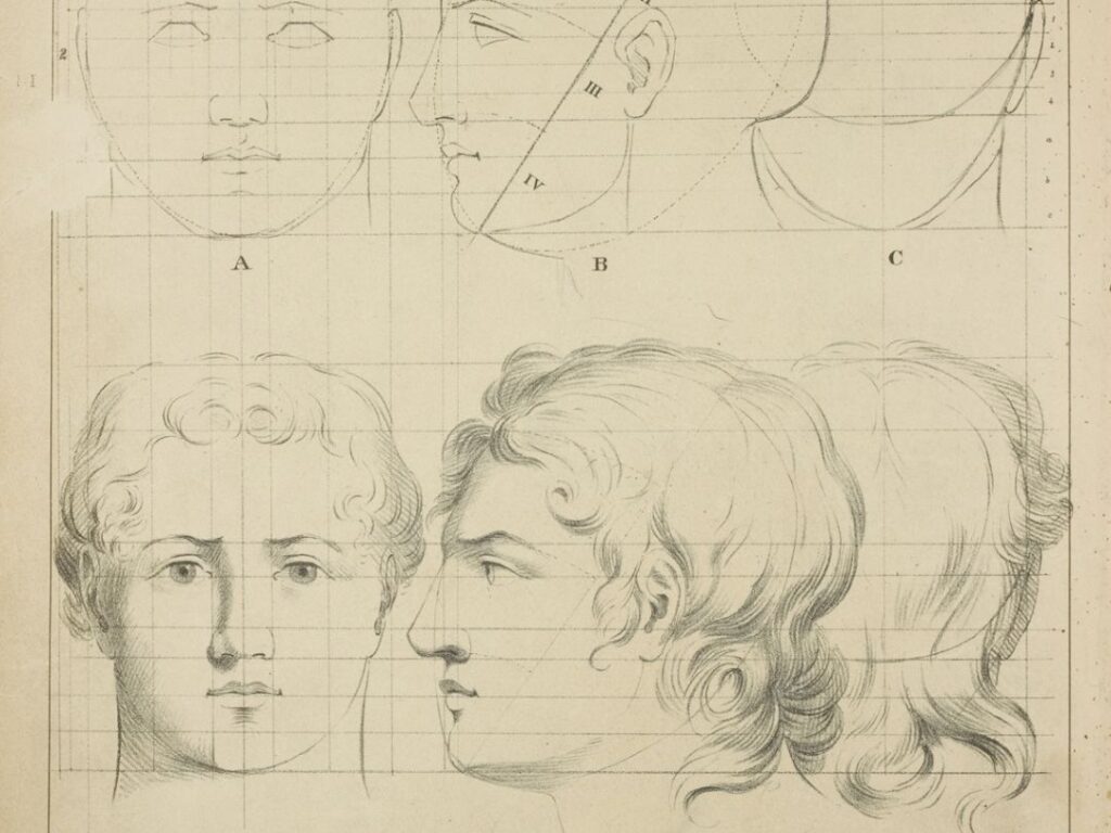 Understanding Proportion in Art: A Guiding Line for Artists